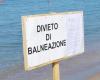 Contaminación fecal en las aguas de Friuli Venezia Giulia. Deja de nadar y consumir mariscos – PrimaFriuli