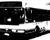 Servicio de Transporte Urbano. Los nuevos horarios de los autobuses entrarán en vigor en Marsala a partir del lunes