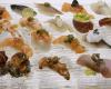 Guía de sushi Gambero rosso: aquí están las 7 mejores direcciones de Sicilia