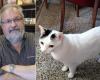 Paolo Carù ha muerto, su gato Luigi se queda solo: llamamiento para encontrar una nueva familia para el gato del rey del vinilo