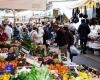 Mercado semanal, los vecinos de via Rossini piden que lo trasladen