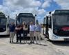Fiumicino, Caroccia: “Los tres nuevos autobuses eléctricos son un paso hacia un municipio más verde”