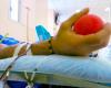 Aumentan las donaciones de sangre, más de 206 mil en Toscana en 2023: “El desafío es aumentar los jóvenes”