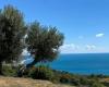 “El Mediterráneo, laboratorio de integración. La contribución potencial de Calabria”. Este es el tema de la conferencia en el Consejo Regional