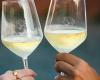 La gastronomía y el vino del Lacio relanzan el turismo en Fiumicino: gran éxito de “La Via del Gusto”