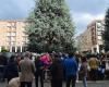 Ecologistas y vecinos salen a las calles (Europa) contra la tala de plantas monumentales – Targatocn.it