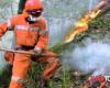Prevención de incendios en Apulia, acuerdo Protección Civil-Arif: “Capacidad operativa mejorada”