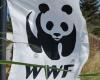 Plano del Parque Nacional del Gargano. WWF Foggia gana el concurso para el acceso a la información ambiental