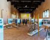 Faenza hacia el Tour de Francia: nueva cita en el Palazzo del Podestà con el documental “La Grand Depart”
