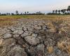 Molise ya sufre una crisis hídrica: manantiales secos y uso excesivo (también en Campania). “Cierres nocturnos imprescindibles”