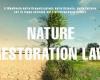 Victoria histórica de la naturaleza europea: aprobada la Ley de Restauración de la Naturaleza