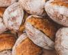 Treviso: Pan y panaderos de Italia 2025, aquí están las panaderías de Treviso en la guía Gambero Rosso
