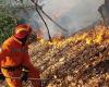 Plan de programa de protección contra incendios establecido en la región de Puglia