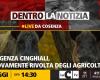 Emergencia de jabalí, las cámaras de Dentro la Notizia en Cosenza, donde se desarrolla la protesta de los agricultores