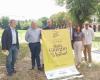 ‘Noches amarillas’ en Alessandria para celebrar el Tour de Francia – Noticias