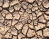 Sequía, Sicilia pide el reconocimiento de las condiciones de fuerza mayor y circunstancias excepcionales – Economía y política