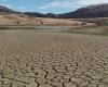 Sequía en Sicilia: se publica una licitación de 10 millones para el “vale forrajero” –