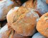 Las mejores panaderías de Liguria según Gambero Rosso: cinco están en Génova