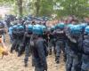 Bolonia, enfrentamientos en el parque Don Bosco entre policías y ecologistas: 4 activistas detenidos