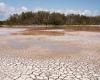 Hay alarma por sequía en Calabria, Sorical: “Será un verano difícil”