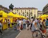 Turín y su provincia, comienzan los horarios de verano de los mercados dominicales de Campagna Amica – Torino Oggi