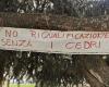 Cuneo, los árboles de Piazza Europa en el centro del próximo Consejo: manifestación el viernes