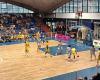 Baloncesto B2, decepción del Italservice Loreto Pesaro. Virtus Ragusa vuela a la Serie B nacional – Noticias Pesaro – CentroPagina