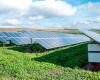 “Corremos el riesgo de que los parques fotovoltaicos se conviertan en el nuevo paisaje agrícola de Emilia-Romaña”
