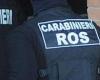 La ‘Ndrangheta y los asesinatos: 14 detenciones, la policía de Abruzos también en acción – Pescara