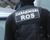 BRANDIZZO-RONDISSONE – Operación de los Carabinieri de Catanzaro contra la ‘Ndrangheta: 14 detenciones