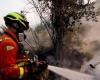 Incendio en Maruggio, bosque y viviendas asediadas por las llamas: caza de pirómanos con recompensa de cinco mil euros