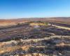 Un incendio forestal en el sureste de Turquía causa al menos once muertos