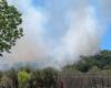 Gran incendio en Genzano: llamas en la zona de Monte Due Torri. Bomberos y Protección Civil en acción