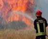 Incendios forestales en Puglia: el informe de los bomberos – Pugliapress