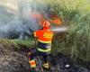 Lucha contra incendios forestales en Gravina: una ordenanza sindical establece obligaciones y prohibiciones