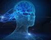 Hala Point: el sistema neuromórfico que revoluciona el futuro de la IA