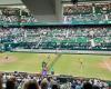 Musetti contra Paul: la final del ATP Queen en directo