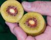 Cerca de Latina se cultiva un kiwi de corazón rojo – Mundo Agrícola