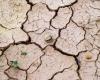 Sequía, Sicilia: emergencia agrícola. Fedagripesca: perdió 50%