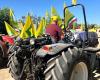 Bitonto, protesta de los agricultores contra la emergencia por sequía en los campos: tractores encadenados a los pozos