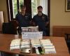 Vendían cocaína y hachís al por mayor en la provincia de Varese: organización criminal desmantelada por la Policía Estatal