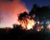 Incendios en Sicilia, la Región renueva el acuerdo con los bomberos