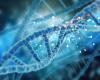 Las últimas innovaciones en el campo de la genética se exploran en Tarento