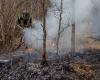 Incendios forestales, Protección Civil ordena la fase de atención a partir del 1 de julio