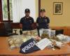 Kilos y kilos de droga vendidos en toda Lombardía, la policía de Busto Arsizio desarticula dos grupos de narcotraficantes