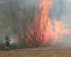 Incendios forestales, la Región renueva el convenio con los Bomberos con 2,5 millones