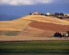 Toscana, una licitación de 2 millones para la formación de empresarios agrícolas