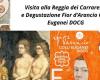 Azahar Colli Euganei DOCG y Padova Urbs Picta, un evento especial en la Loggia dei Carraresi