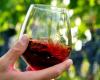 Región, los vinos del Lacio son protagonistas en el 42º Foro de la Cultura del Vino