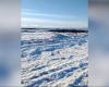 Frío extremo provoca que el mar se congele en Tierra del Fuego, el video se vuelve viral